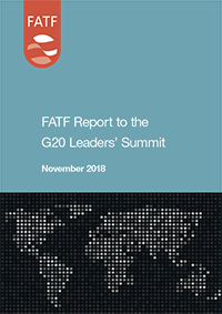 FATF REPORT TO G20 LEADERS’ SUMMIT