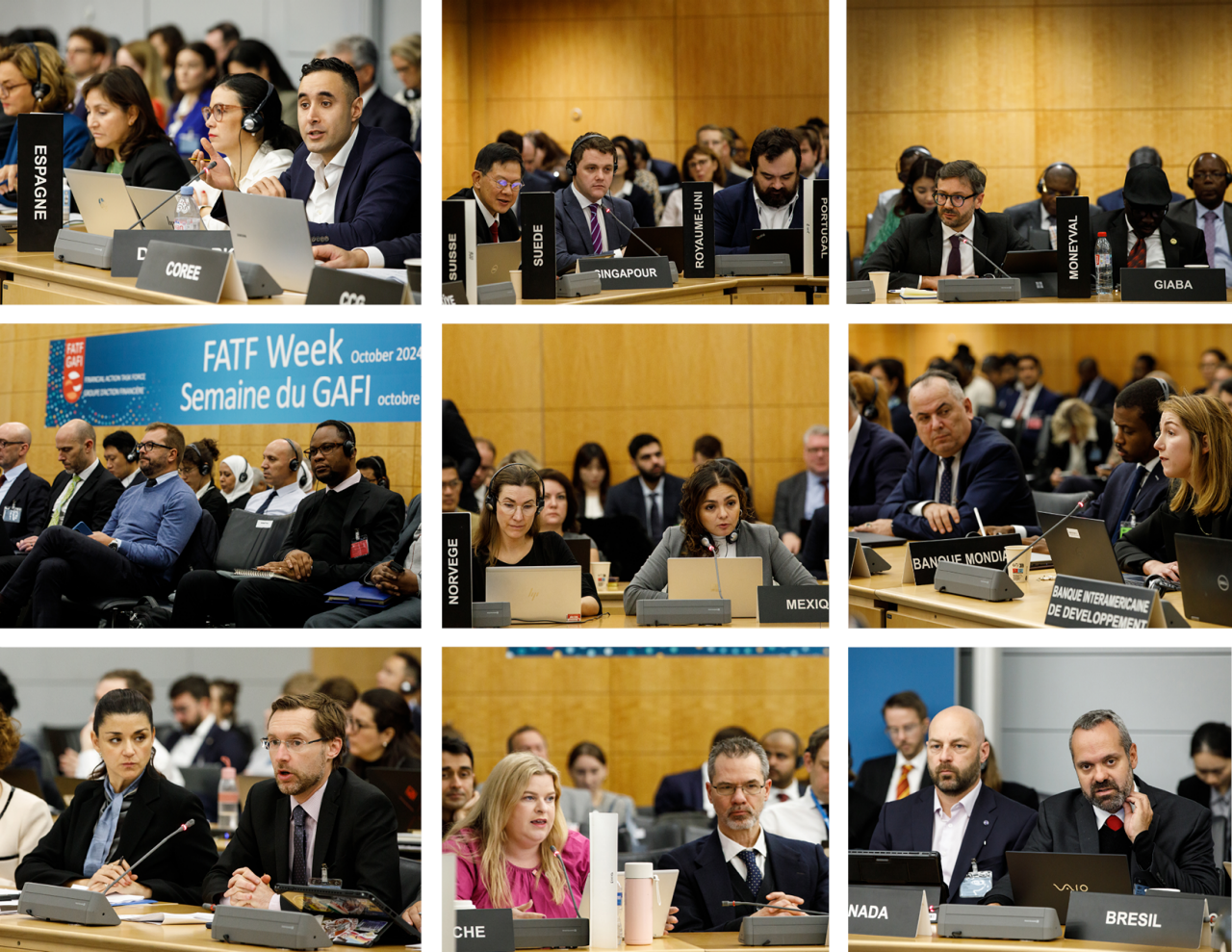 FATF Plenary, October 2024