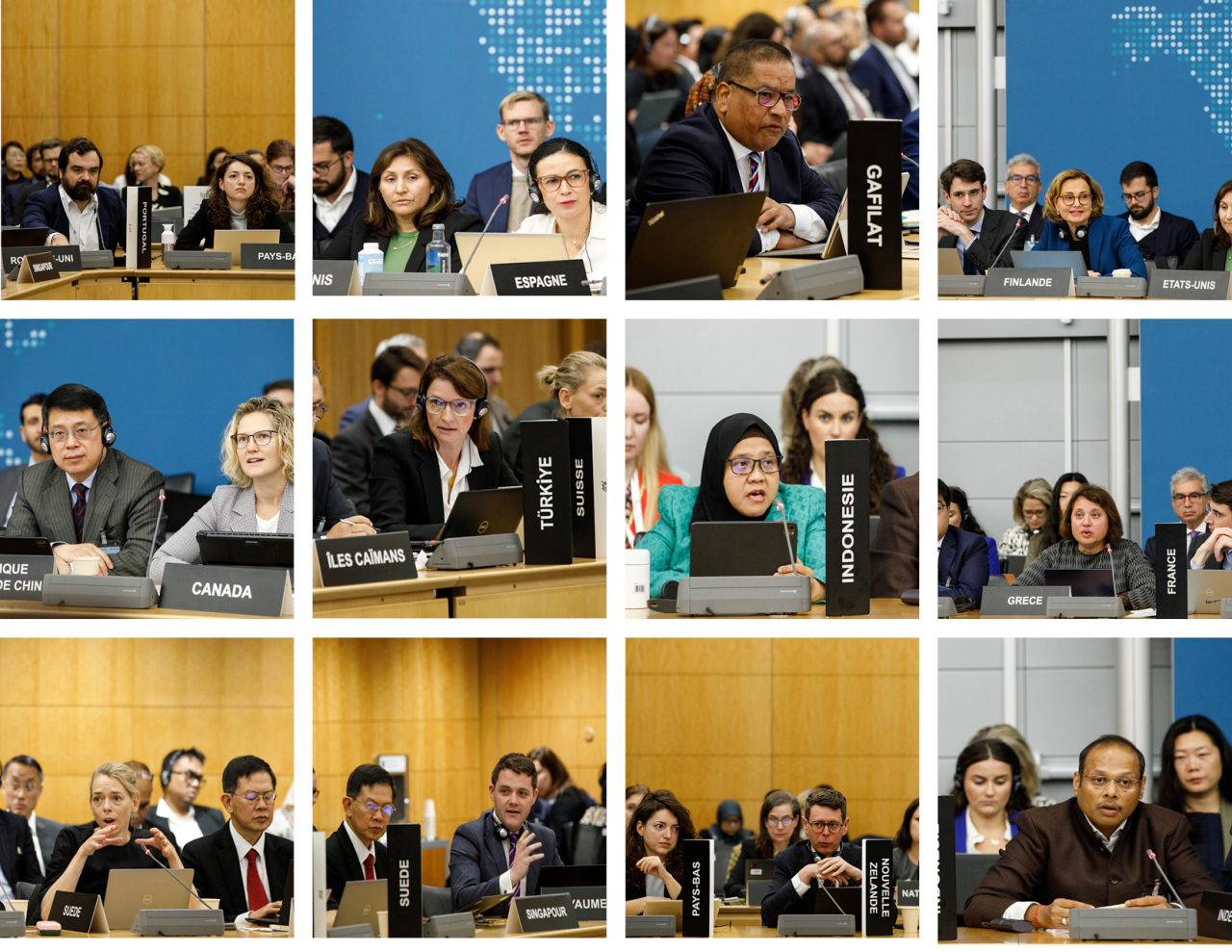 FATF Plenary, October 2024