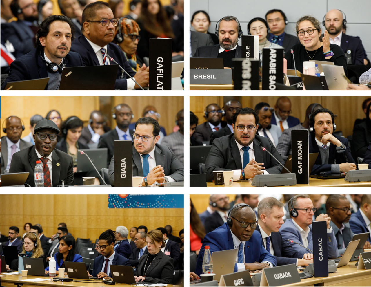 FATF Plenary, October 2024