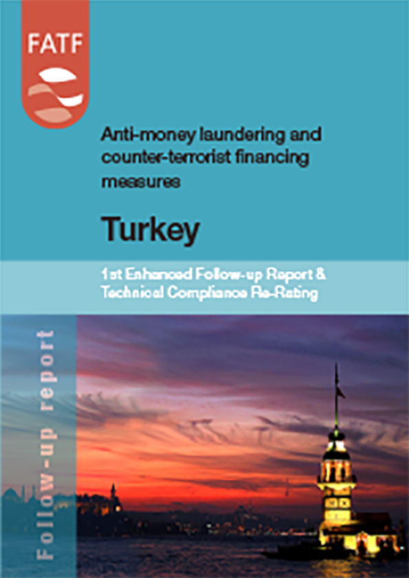 Follow Up Report Turkey 2021
