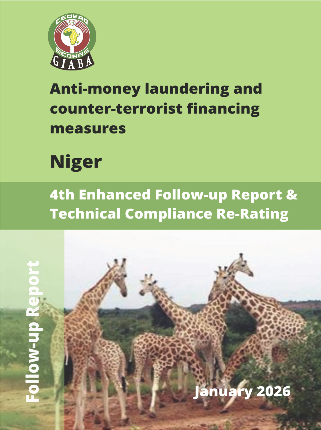 Cover of Follow Up-Report - Niger 2026